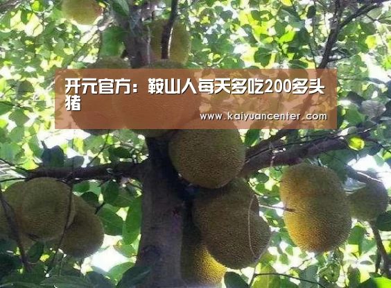 开元官方:鞍山人每天多吃200多头猪(图4) 开元平台