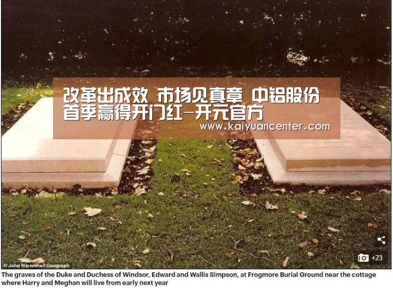 改革出成效 市场见真章 中铝股份首季赢得开门红-开元官方(图3) 开元棋牌