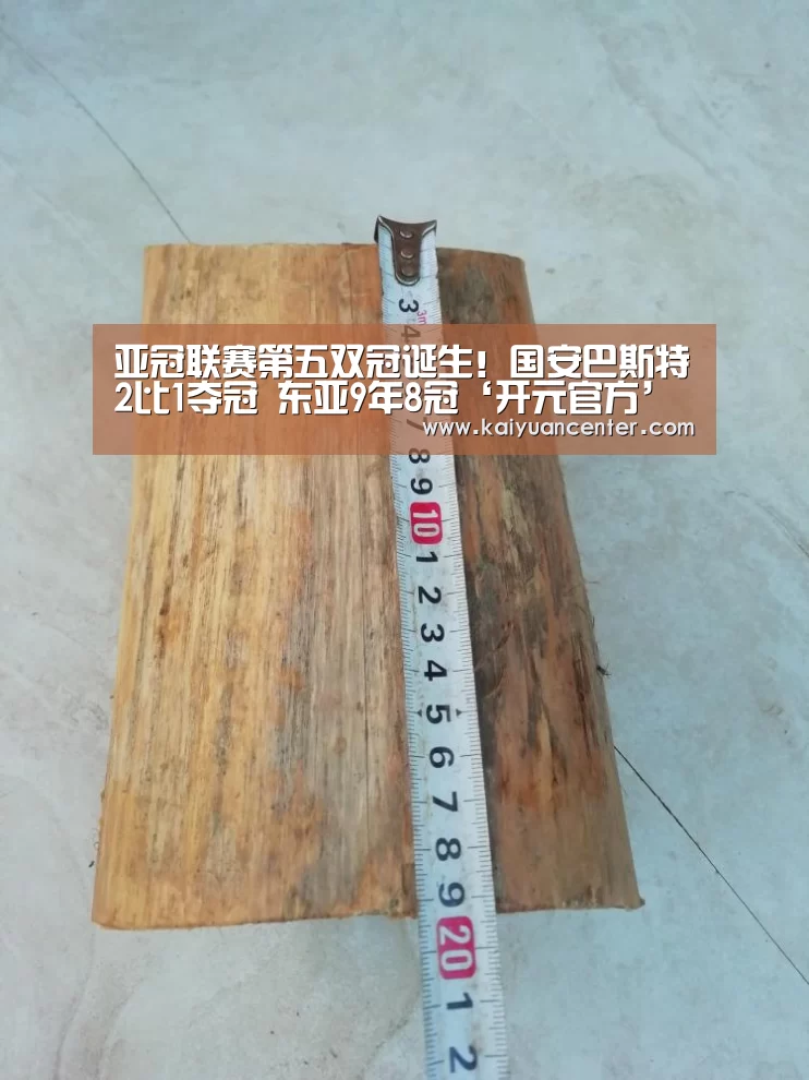 亚冠联赛第五双冠诞生!国安巴斯特2比1夺冠 东亚9年8冠‘开元官方’(图1) 开元平台